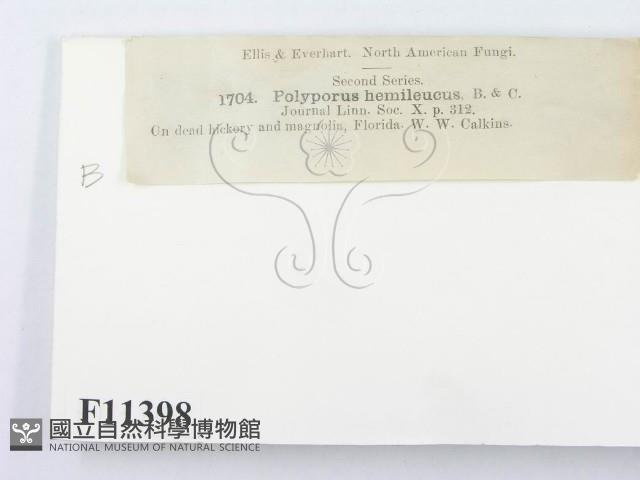 登錄號:F0011398藏品圖，第3張