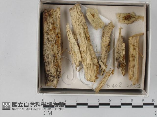 登錄號:F0018288藏品圖，第1張