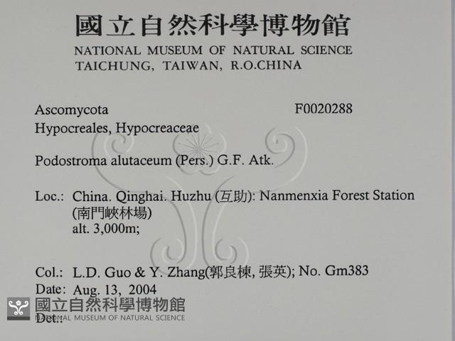登錄號:F0020288藏品圖，第3張