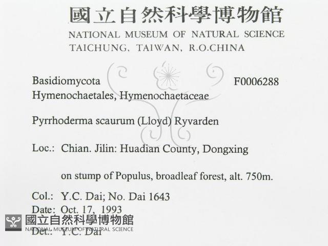 登錄號:F0006288藏品圖，第3張