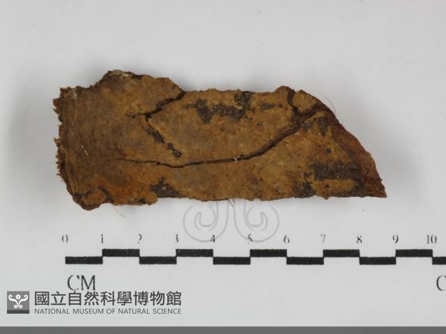 登錄號:F0032288藏品圖，第1張
