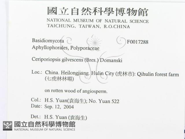 登錄號:F0017288藏品圖，第3張