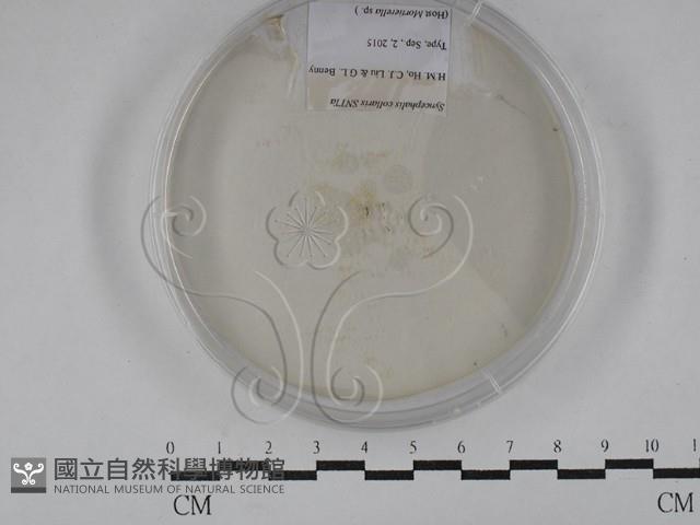登錄號:F0029288藏品圖，第1張