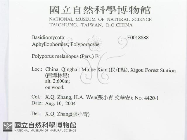 館號:F0018888藏品圖，第3張