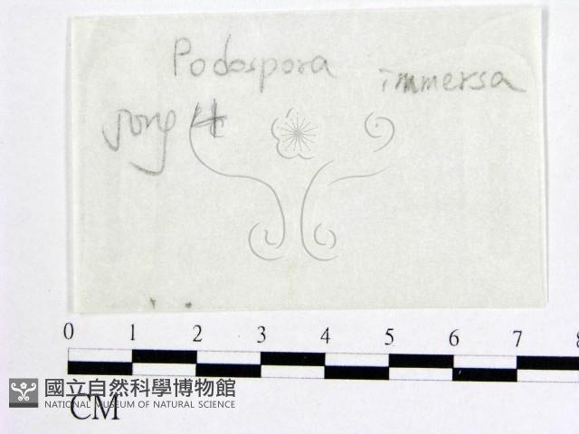 登錄號:F0016888藏品圖，第1張