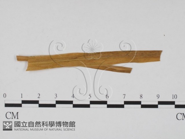 登錄號:F0011888藏品圖，第1張