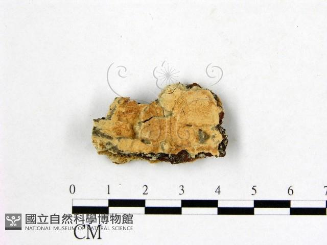 登錄號:F0002888藏品圖，第1張