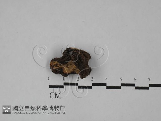 登錄號:F0028988藏品圖，第1張