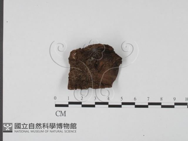 登錄號:F0007988藏品圖，第1張