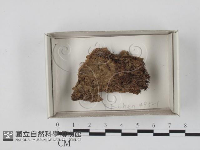 登錄號:F0017988藏品圖，第1張