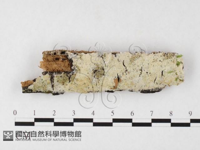 登錄號:F0026688藏品圖，第1張