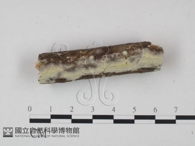 登錄號:F0021688藏品圖，第1張