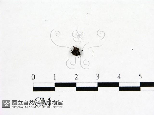 登錄號:F0005688藏品圖，第1張