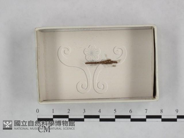 登錄號:F0018488藏品圖，第1張