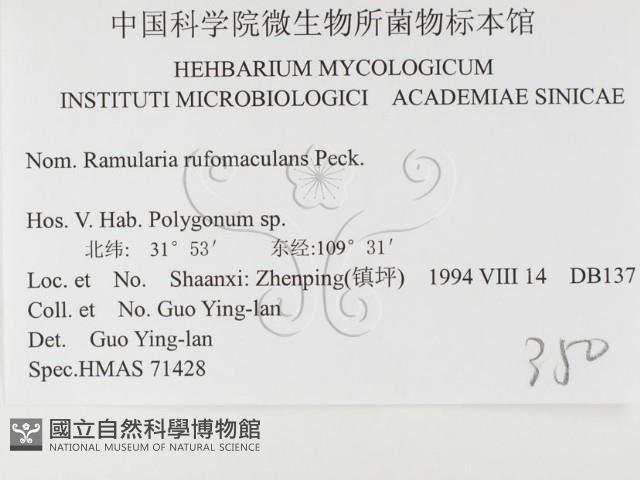 登錄號:F0026488藏品圖，第3張