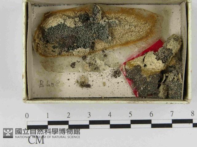 登錄號:F0021488藏品圖，第1張