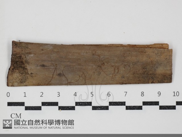 登錄號:F0034488藏品圖，第1張