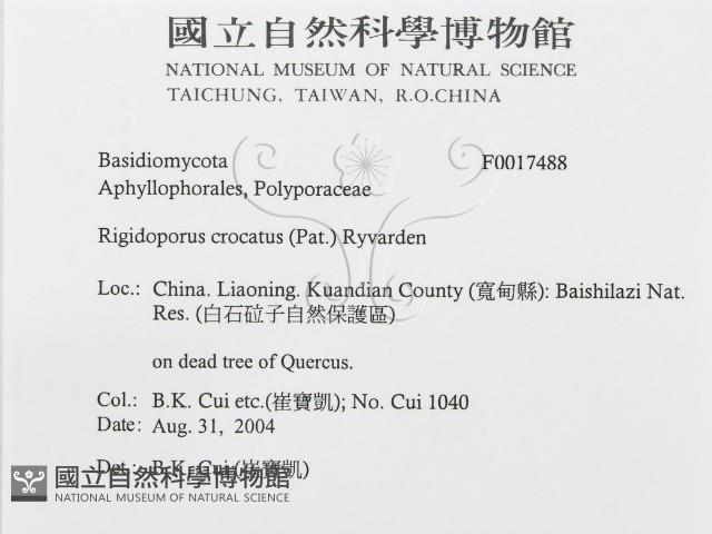 登錄號:F0017488藏品圖，第3張
