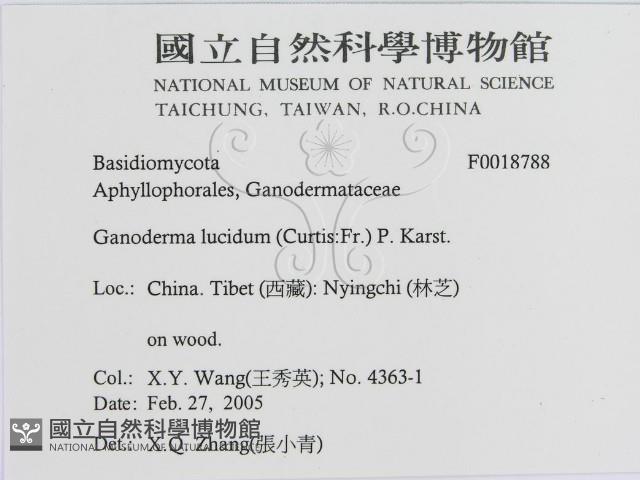 登錄號:F0018788藏品圖，第3張