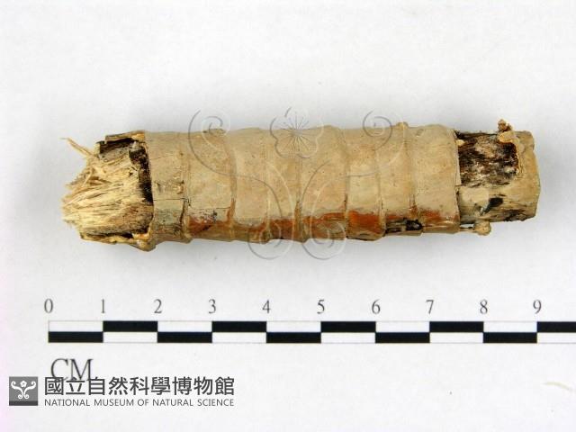 登錄號:F0014788藏品圖，第1張