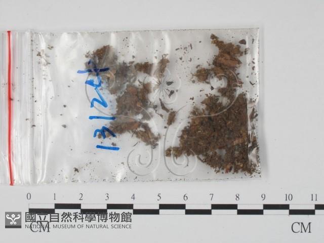 登錄號:F0009788藏品圖，第1張