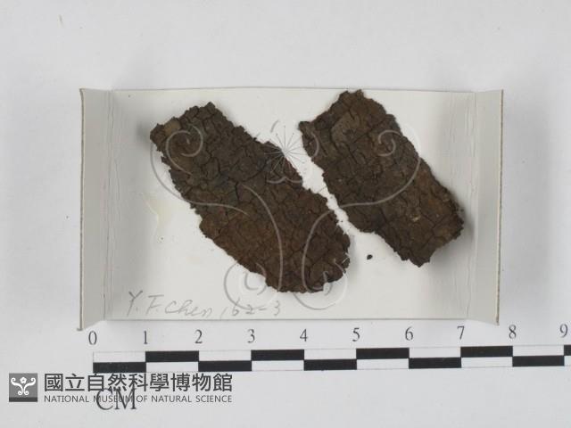 登錄號:F0018588藏品圖，第1張