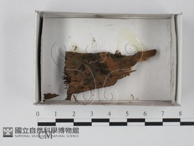 登錄號:F0020588藏品圖，第1張