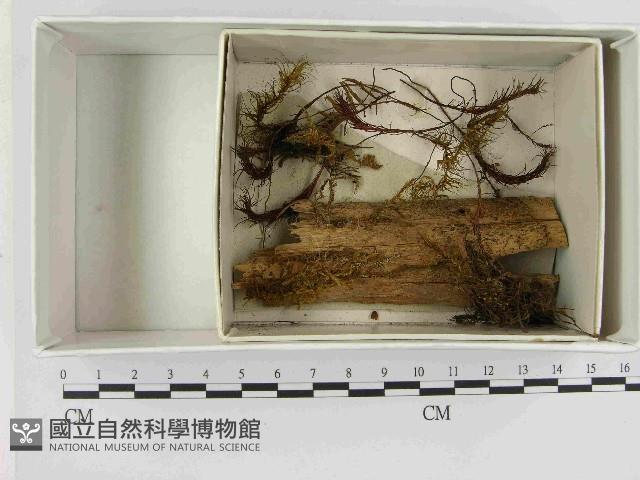 登錄號:F0021588藏品圖，第1張