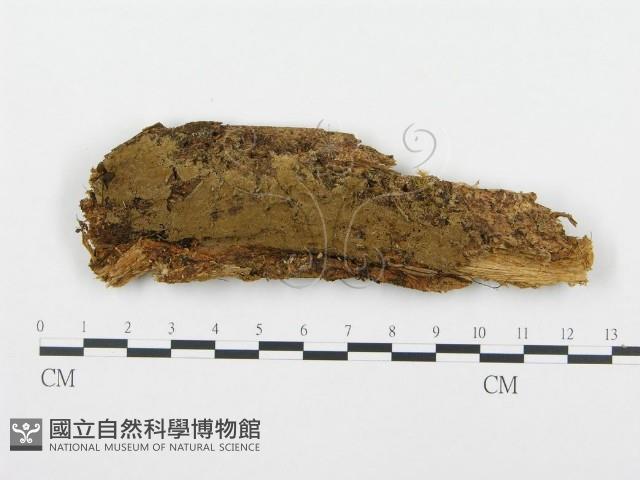 登錄號:F0004588藏品圖，第1張