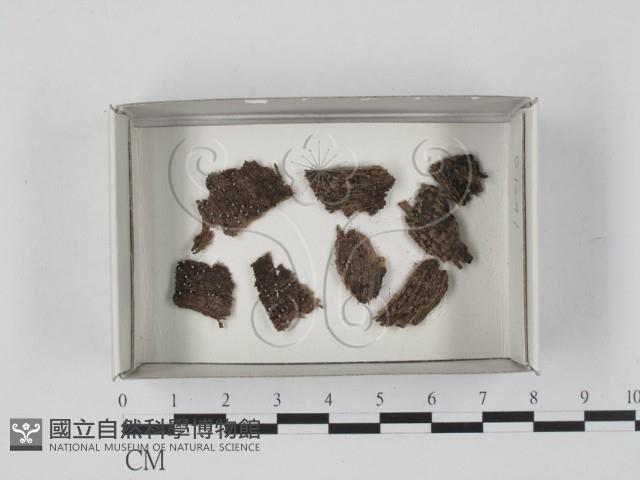 登錄號:F0018188藏品圖，第1張