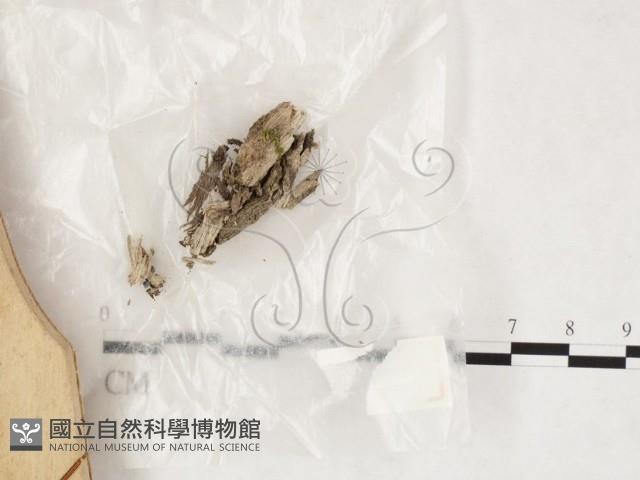 登錄號:F0020188藏品圖，第1張