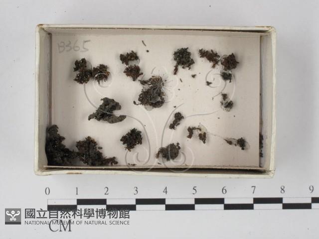登錄號:F0021188藏品圖，第1張