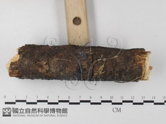 登錄號:F0022188藏品圖，第1張