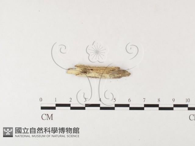 登錄號:F0012188藏品圖，第1張