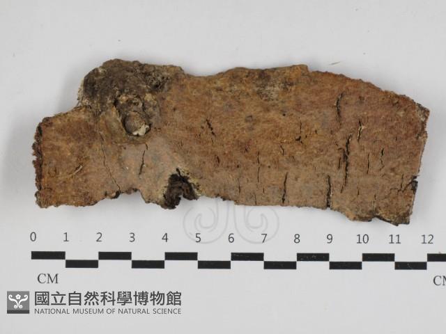 登錄號:F0033188藏品圖，第1張