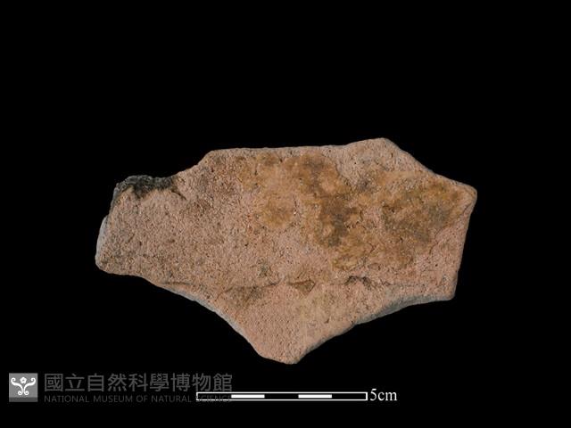 陶缽藏品圖，第2張