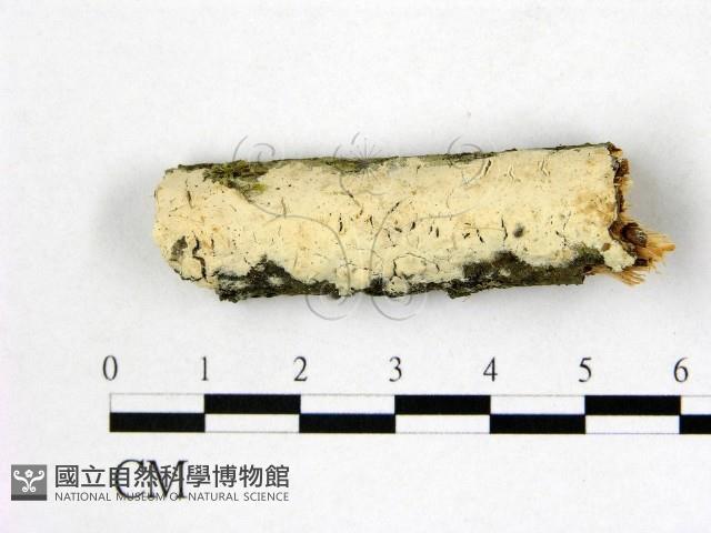 登錄號:F0015088藏品圖，第1張