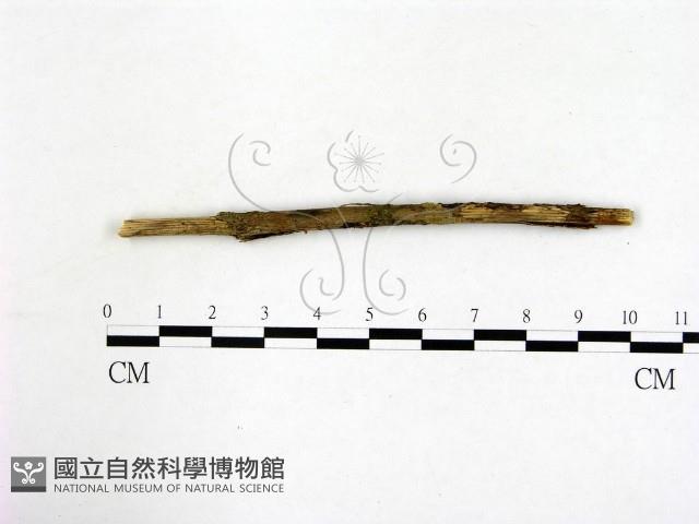 登錄號:F0003088藏品圖，第1張