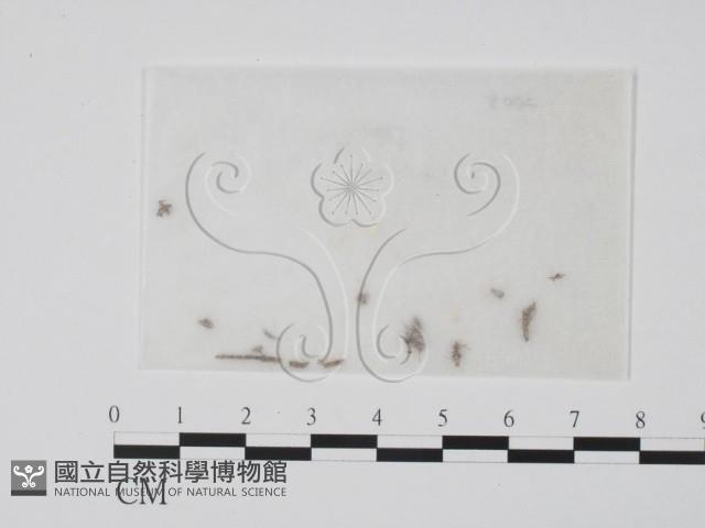 登錄號:F0010388藏品圖，第1張