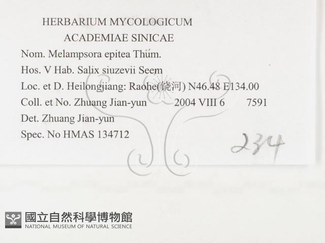 登錄號:F0026388藏品圖，第3張