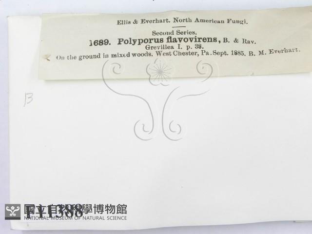 登錄號:F0011388藏品圖，第3張