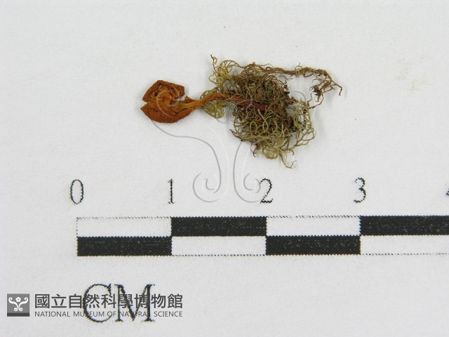 登錄號:F0003388藏品圖，第1張