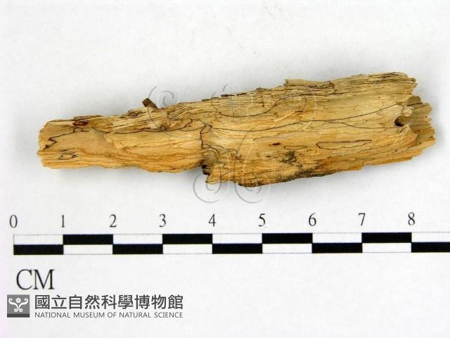 登錄號:F0008238藏品圖，第1張