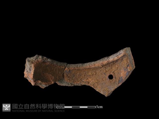 陶罐藏品圖，第1張