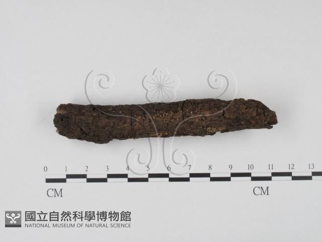 登錄號:F0005138藏品圖，第1張