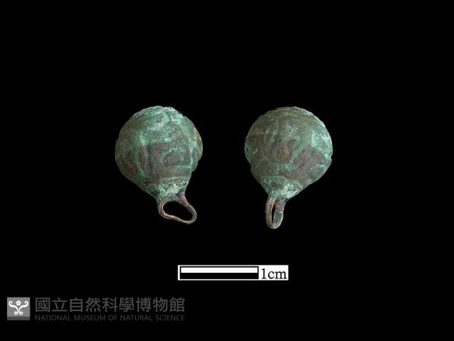 鈕子藏品圖，第1張