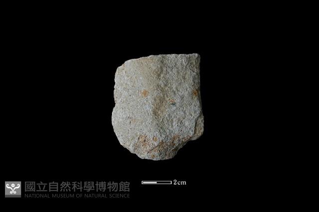 磨製斧鋤形器藏品圖，第2張