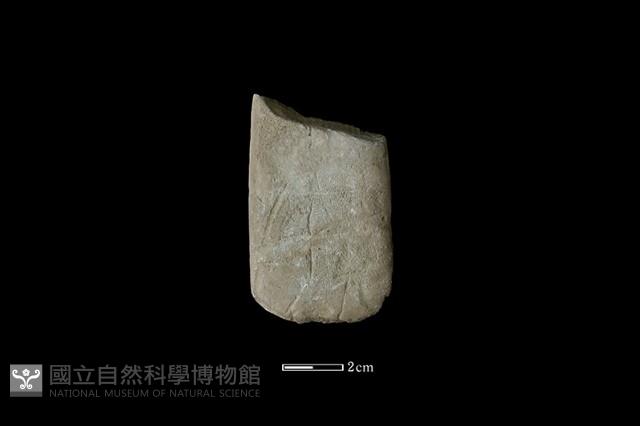 磨製石器藏品圖，第1張