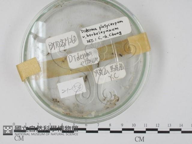 登錄號:F0018120藏品圖，第1張