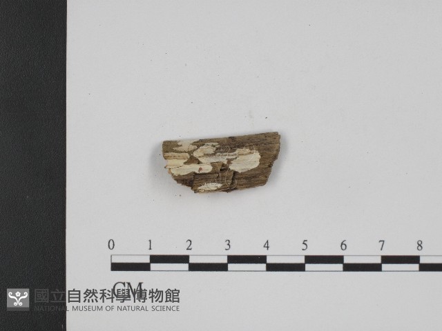登錄號:F0004120藏品圖，第1張